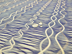 播州織工業協同組合